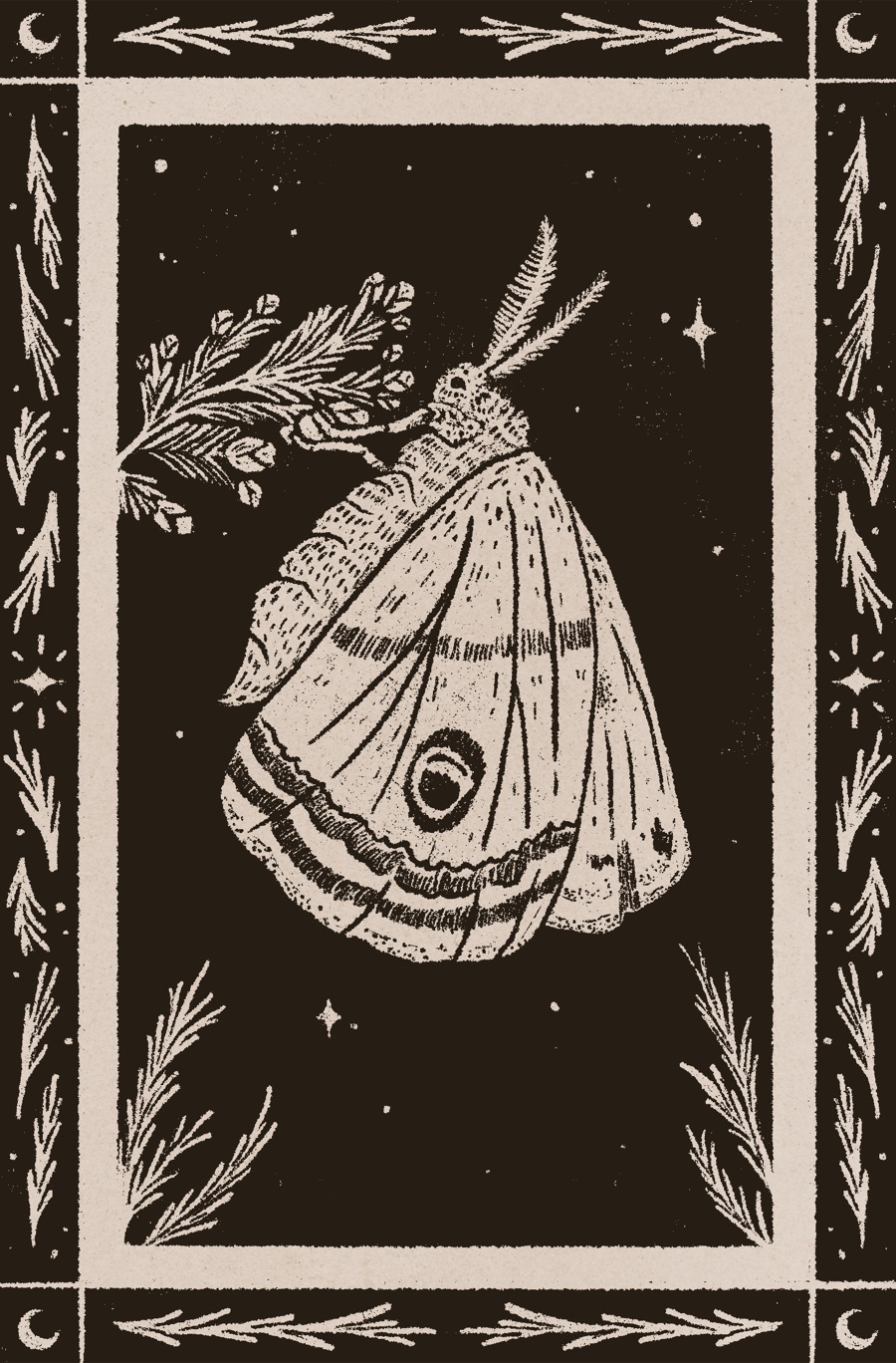 Emperor Moth