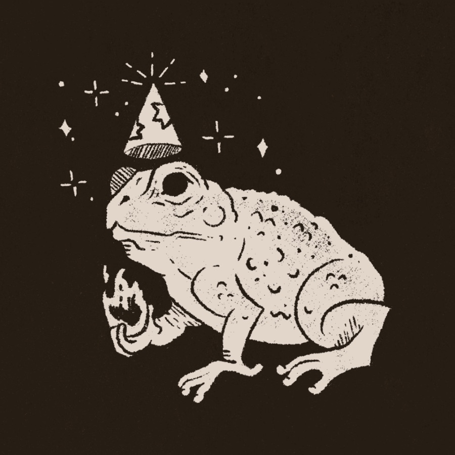 Wizard Toad